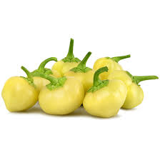 Sarı Top Biber